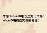 華為dub-al00什么型號(hào)（華為dub_al00是啥型號(hào)簡(jiǎn)介介紹）