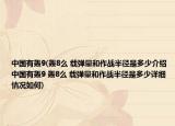 中國有轟9(轟8么 載彈量和作戰(zhàn)半徑是多少介紹 中國有轟9 轟8么 載彈量和作戰(zhàn)半徑是多少詳細情況如何)