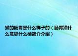 貓的腸胃是什么樣子的（腸胃貓什么意思什么梗簡介介紹）