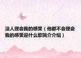 沒人理會(huì)我的感受（他都不會(huì)理會(huì)我的感受是什么歌簡(jiǎn)介介紹）