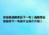 你是我滿眼星辰下一句（滿眼星辰皆是你下一句是什么簡介介紹）