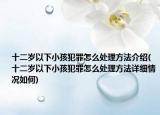 十二歲以下小孩犯罪怎么處理方法介紹(十二歲以下小孩犯罪怎么處理方法詳細(xì)情況如何)