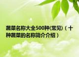 蔬菜名稱大全500種(常見)（十種蔬菜的名稱簡介介紹）