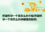 懷疑懷孕一個月怎么辦介紹(懷疑懷孕一個月怎么辦詳細(xì)情況如何)