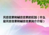 元音音素和輔音音素的區(qū)別（什么是元音音素和輔音音素簡介介紹）