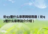 處qy是什么意思網(wǎng)絡(luò)用語（處qy是什么意思簡介介紹）