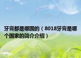 牙膏都是哪國的（8018牙膏是哪個國家的簡介介紹）
