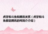 虎牙和斗魚(yú)和騰訊關(guān)系（虎牙和斗魚(yú)都是騰訊的嗎簡(jiǎn)介介紹）