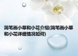 簡筆畫小草和小花介紹(簡筆畫小草和小花詳細(xì)情況如何)