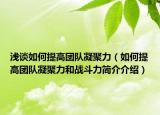 淺談如何提高團(tuán)隊(duì)凝聚力（如何提高團(tuán)隊(duì)凝聚力和戰(zhàn)斗力簡介介紹）