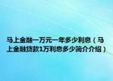 馬上金融一萬元一年多少利息（馬上金融貸款1萬利息多少簡(jiǎn)介介紹）