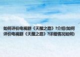 如何評價電視劇《天醒之路》?介紹(如何評價電視劇《天醒之路》?詳細情況如何)