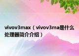 vivov3max（vivov3ma是什么處理器簡(jiǎn)介介紹）