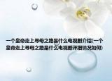 一個皇帝走上尋母之路是什么電視劇介紹(一個皇帝走上尋母之路是什么電視劇詳細情況如何)