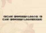 《粉紅女郎》里哈妹到底是什么身份介紹(《粉紅女郎》里哈妹到底是什么身份詳細(xì)情況如何)