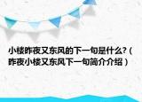 小樓昨夜又東風(fēng)的下一句是什么?（昨夜小樓又東風(fēng)下一句簡介介紹）