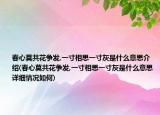 春心莫共花爭發(fā),一寸相思一寸灰是什么意思介紹(春心莫共花爭發(fā),一寸相思一寸灰是什么意思詳細(xì)情況如何)