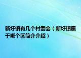 新圩鎮(zhèn)有幾個(gè)村委會（新圩鎮(zhèn)屬于哪個(gè)區(qū)簡介介紹）