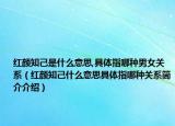 紅顏知己是什么意思,具體指哪種男女關(guān)系（紅顏知己什么意思具體指哪種關(guān)系簡介介紹）