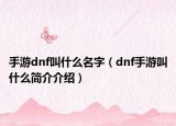 手游dnf叫什么名字（dnf手游叫什么簡介介紹）