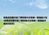 轉(zhuǎn)角遇到愛中除了愛轉(zhuǎn)角外還有哪一首插曲介紹(轉(zhuǎn)角遇到愛中除了愛轉(zhuǎn)角外還有哪一首插曲詳細情況如何)