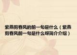 紫燕剪春風(fēng)的前一句是什么（紫燕剪春風(fēng)前一句是什么呀簡介介紹）