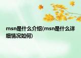 msn是什么介紹(msn是什么詳細情況如何)