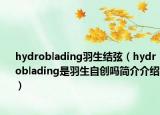 hydroblading羽生結(jié)弦（hydroblading是羽生自創(chuàng)嗎簡介介紹）