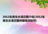 2012生男生女清宮圖介紹(2012生男生女清宮圖詳細(xì)情況如何)