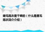 睫毛雨衣是干嘛的（什么是眉毛雨衣簡介介紹）