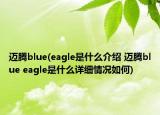 邁騰blue(eagle是什么介紹 邁騰blue eagle是什么詳細(xì)情況如何)
