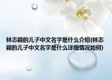 林志穎的兒子中文名字是什么介紹(林志穎的兒子中文名字是什么詳細(xì)情況如何)