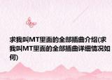 求我叫MT里面的全部插曲介紹(求我叫MT里面的全部插曲詳細(xì)情況如何)