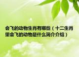 會(huì)飛的動(dòng)物生肖有哪些（十二生肖里會(huì)飛的動(dòng)物是什么簡(jiǎn)介介紹）