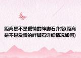距離是不是愛情的絆腳石介紹(距離是不是愛情的絆腳石詳細(xì)情況如何)