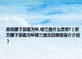 愿將腰下劍直為斬,樓蘭是什么意思?（愿為腰下劍直為斬樓蘭是出自哪里簡介介紹）