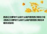 西游記主要寫什么和什么保護(hù)唐僧西行取經(jīng)介紹(西游記主要寫什么和什么保護(hù)唐僧西行取經(jīng)詳細(xì)情況如何)