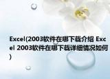 Excel(2003軟件在哪下載介紹 Excel 2003軟件在哪下載詳細(xì)情況如何)