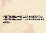 農行手機銀行客戶端怎么沒有國債選項啊介紹(農行手機銀行客戶端怎么沒有國債選項啊詳細情況如何)