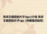賞求王祖賢的片子(sjp()介紹 賞求王祖賢的片子(sjp )詳細(xì)情況如何)