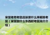 家里老有老鼠應(yīng)該要什么來驅(qū)除老鼠（家里放什么東西趕老鼠簡介介紹）
