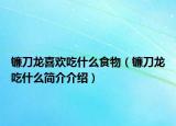 鐮刀龍喜歡吃什么食物（鐮刀龍吃什么簡介介紹）