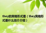 they的賓格形式是（they賓格形式是什么簡介介紹）