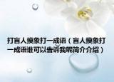 打盲人摸象打一成語（盲人摸象打一成語誰可以告訴我呢簡介介紹）