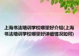 上海書法培訓(xùn)學(xué)校哪里好介紹(上海書法培訓(xùn)學(xué)校哪里好詳細情況如何)
