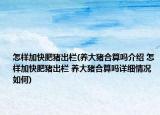 怎樣加快肥豬出欄(養(yǎng)大豬合算嗎介紹 怎樣加快肥豬出欄 養(yǎng)大豬合算嗎詳細情況如何)