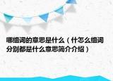 哪組詞的意思是什么（什怎么組詞 分別都是什么意思簡介介紹）