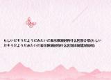 らしいだそうだようだみたいだ表示推測時有什么區(qū)別介紹(らしいだそうだようだみたいだ表示推測時有什么區(qū)別詳細(xì)情況如何)