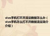 vivo手機打不開流量數(shù)據(jù)怎么辦（vivo手機怎么打不開數(shù)據(jù)流量簡介介紹）