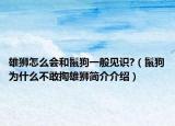 雄獅怎么會和鬣狗一般見識?（鬣狗為什么不敢掏雄獅簡介介紹）